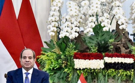 الرئيسان المصري والإندونيسي يدعوان إلى خفض التصعيد في المنطقة وضبط النفس واحترام السيادة