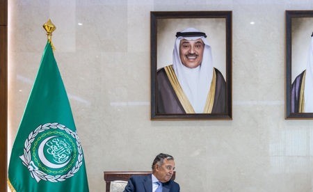 وزير الخارجية بحث سبل تطوير العمل العربي المشترك وآليات عمل الجامعة العربية