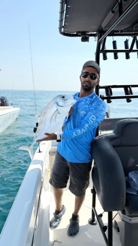 الأحمد: «التونة» فوق الأرياق
