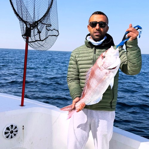 الأحمد: «التونة» فوق الأرياق