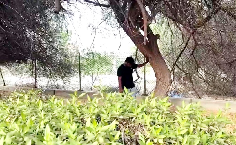 بالفيديو هندي بين أشجار مشرف يفضح طريقة ترويجه الشبو بـ الدفن واللوكيشن