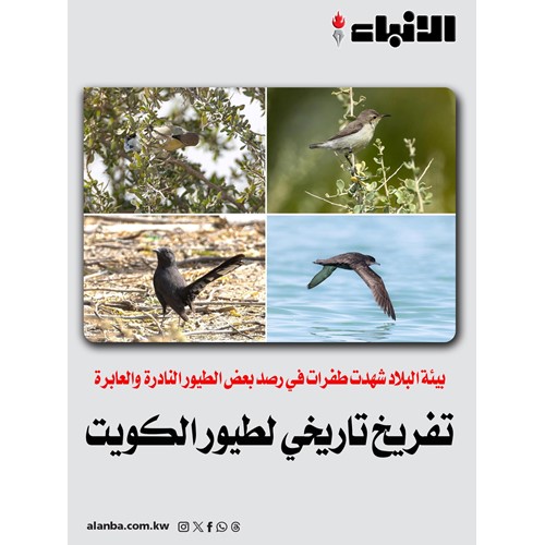 تفريخ تاريخي لطيور الكويت